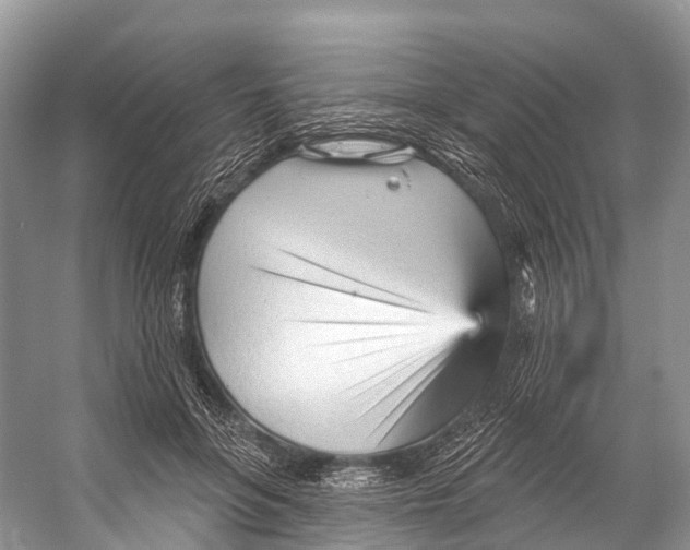 X0000053160551200508081439