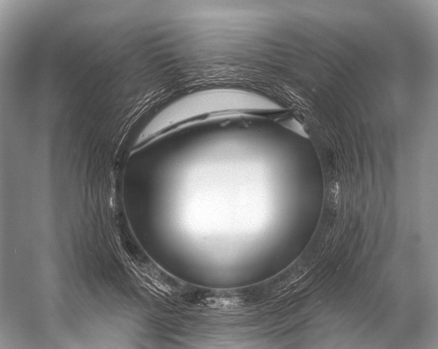 X0000053160552200508081439