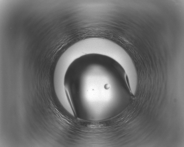 X0000053160556200508081439