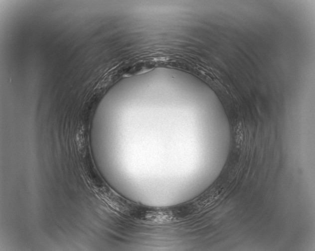 X0000053160559200508081440