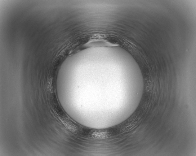 X0000053160560200508081440