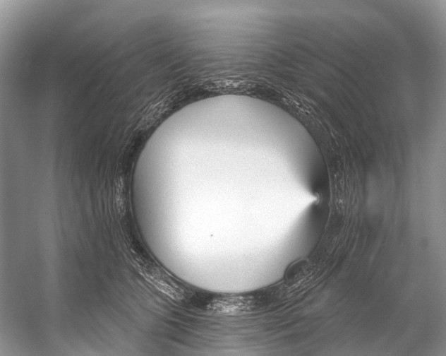 X0000053160563200508081440