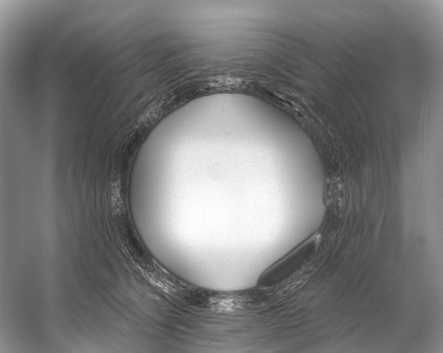 X0000053160564200508081440