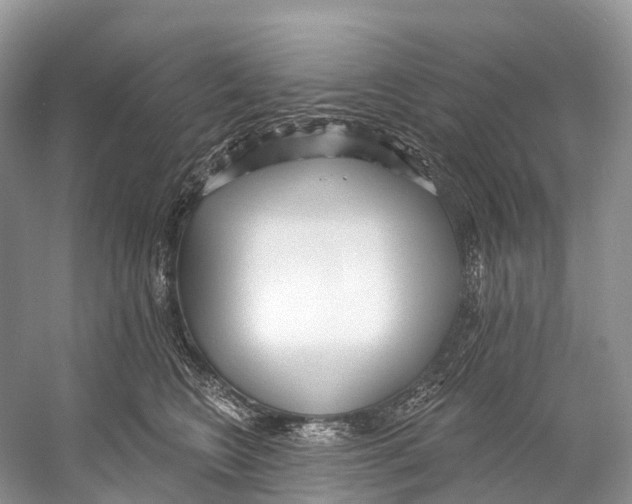 X0000053160566200508081440