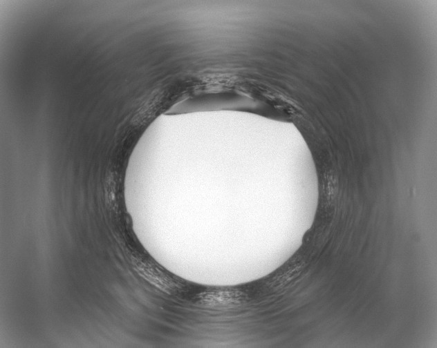 X0000053160567200508081440