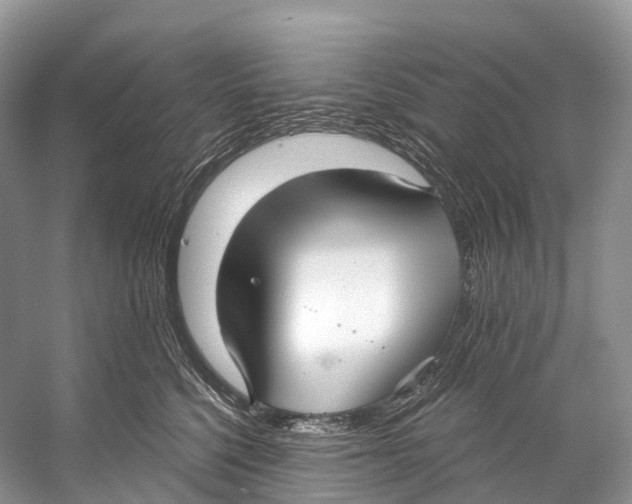 X0000053160568200508081440
