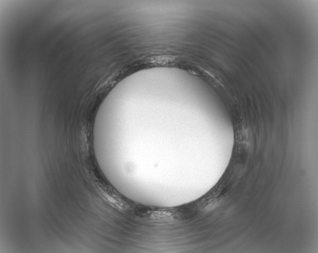 X0000053160572200508081440