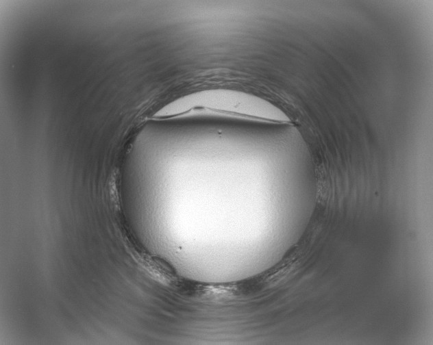 X0000053160573200508081440
