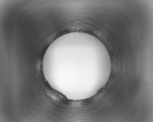 X0000053160574200508081440
