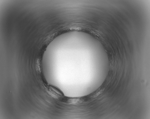 X0000053160575200508081440