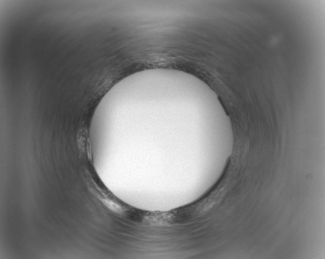 X0000053160576200508081440