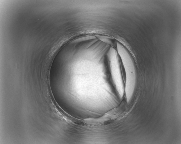 X0000053160577200508081439