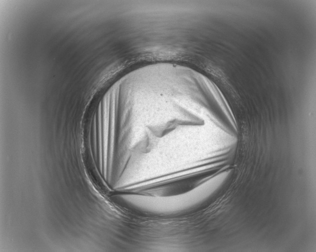 X0000053160582200508081439
