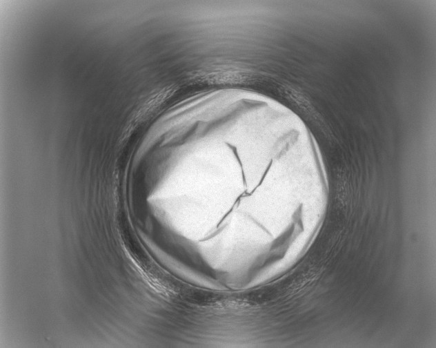X0000053160586200508081439
