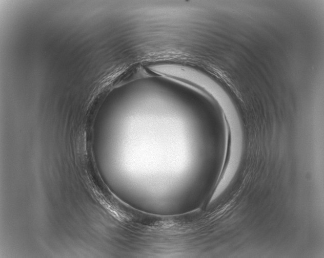 X0000053160589200508081439