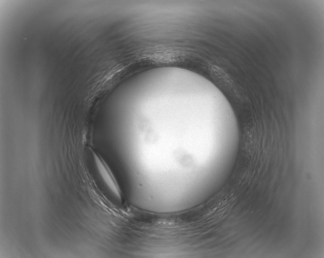 X0000053160596200508081439