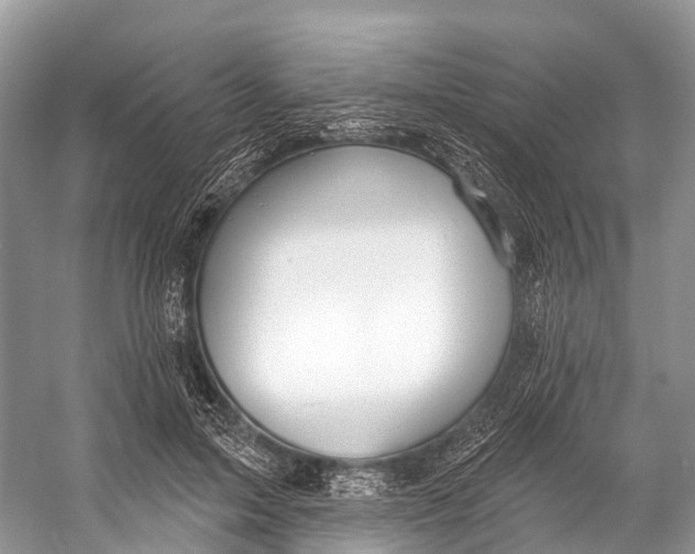 X0000053160599200508081439