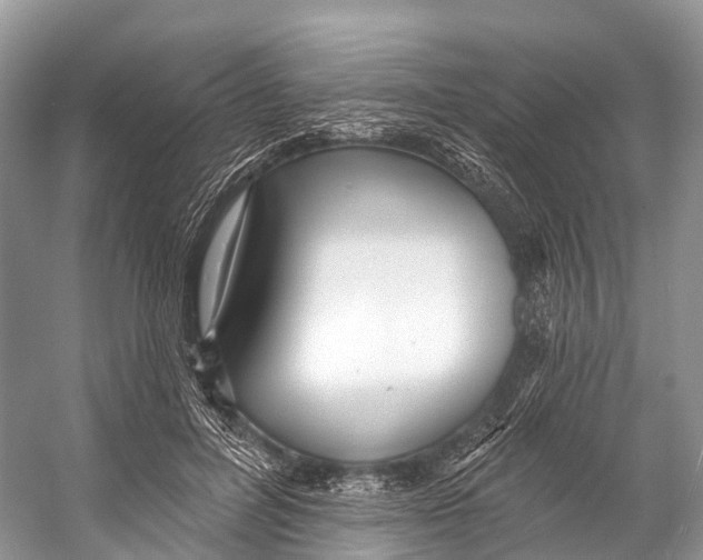 X0000053160600200508081439