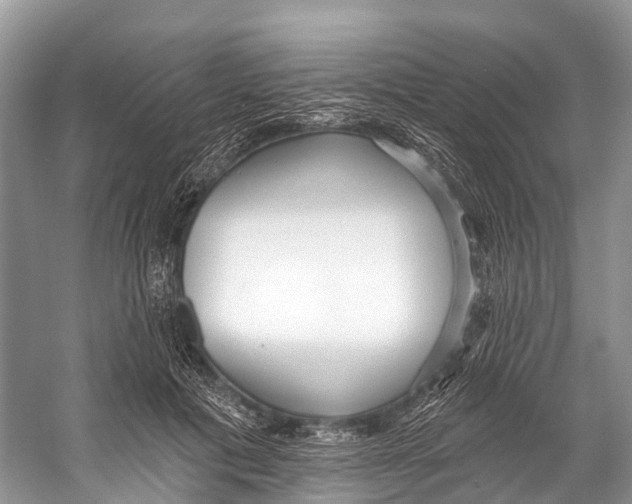 X0000053160601200508081439