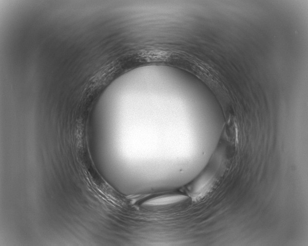X0000053160604200508081439