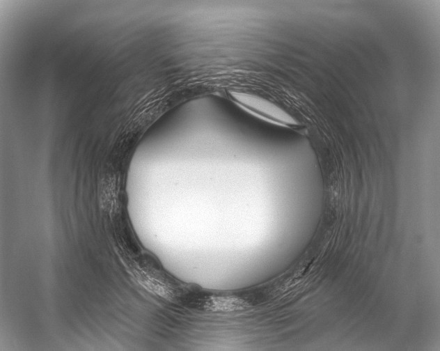 X0000053160605200508081439