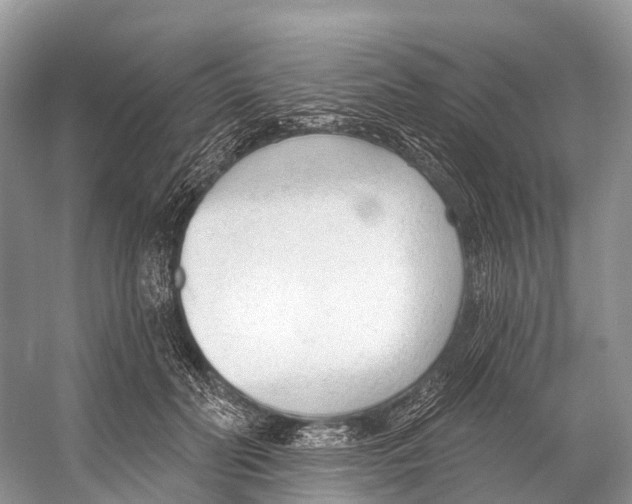 X0000053160606200508081439