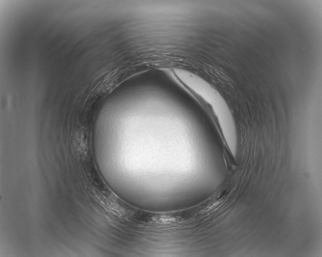 X0000053160607200508081438