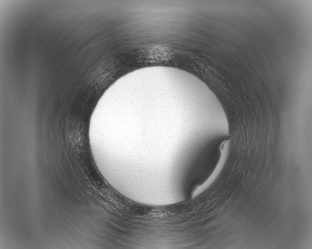 X0000053160608200508081438