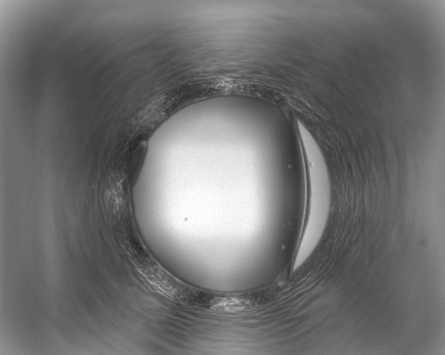 X0000053160611200508081438