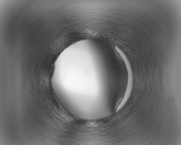 X0000053160613200508081438