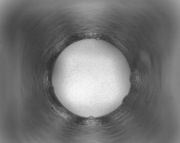 X0000053160615200508081438