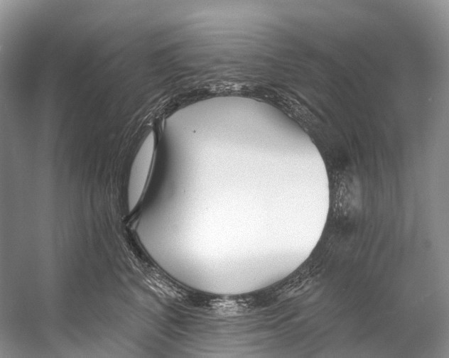 X0000053160616200508081438