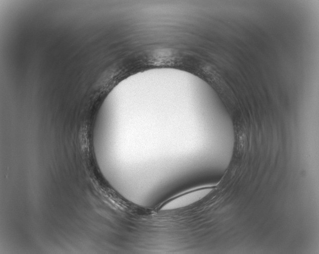 X0000053160620200508081438