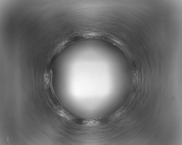 X0000053160621200508081438