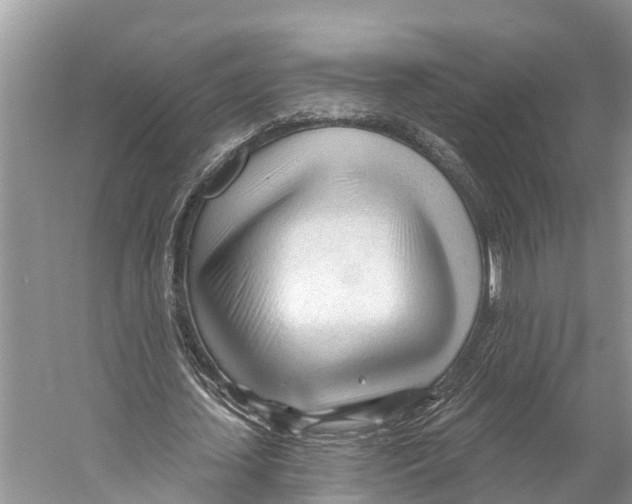 X0000053160627200508081437