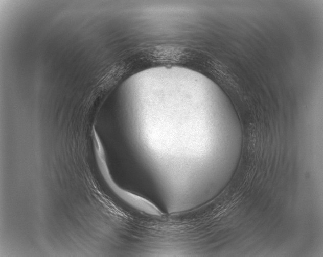 X0000053160641200508081438