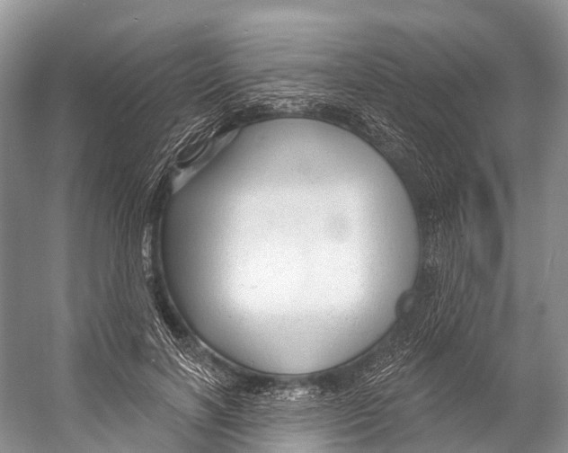 X0000053160646200508081438