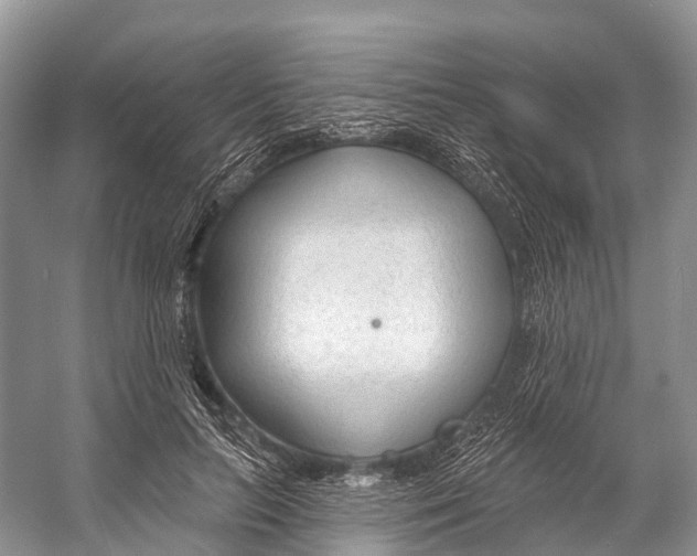 X0000053160647200508081438