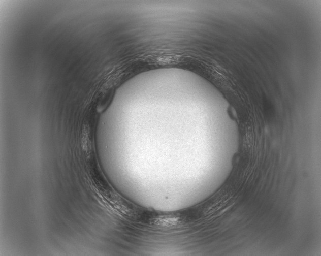 X0000053160651200508081438