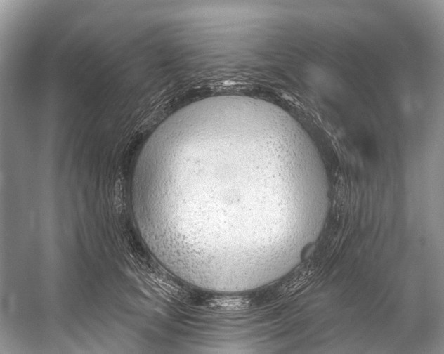 X0000053160659200508081438
