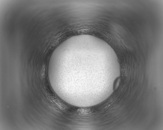 X0000053160660200508081438