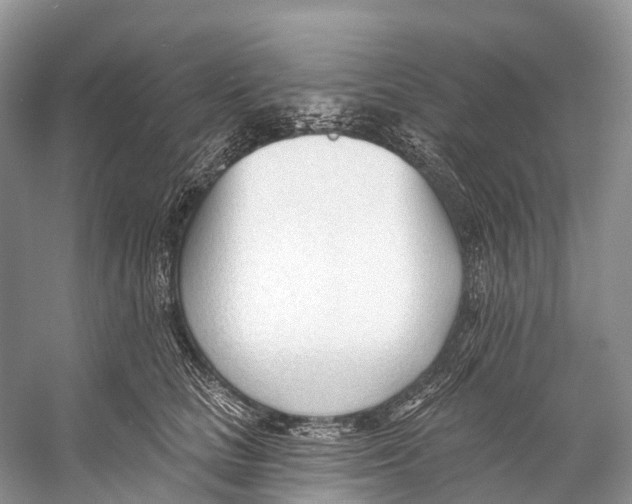 X0000053160661200508081438