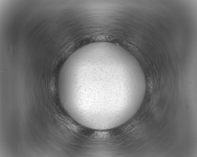 X0000053160665200508081438