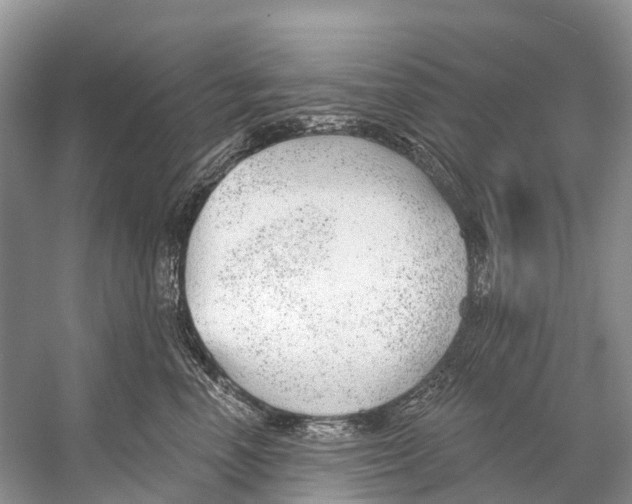 X0000053160666200508081438