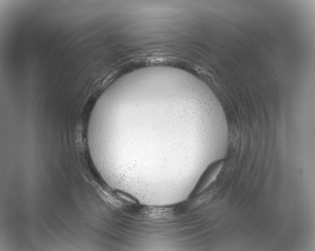X0000053160670200508081438