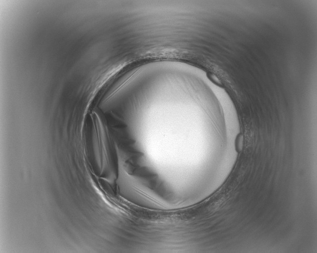 X0000053160674200508081437