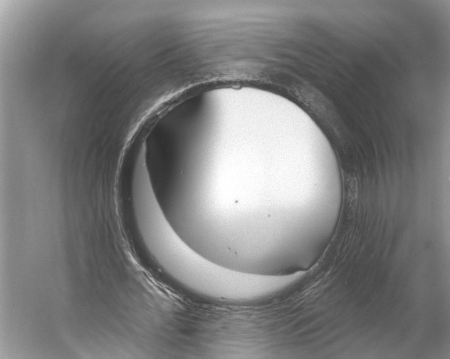 X0000053160676200508081437