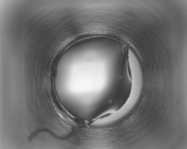 X0000053160677200508081437