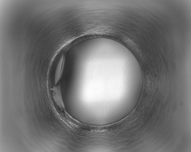 X0000053160680200508081437