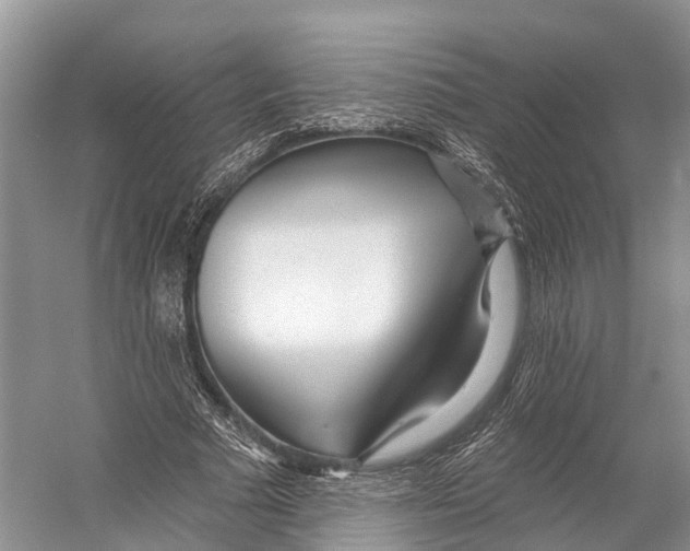 X0000053160681200508081437